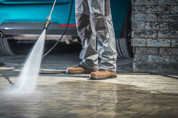 Best Driveway Pressure Washing  in Safety Harbor, FL