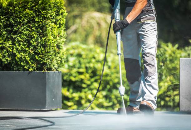 Best Driveway Pressure Washing  in Safety Harbor, FL