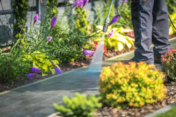 Trusted Safety Harbor, FL Pressure Washing Experts