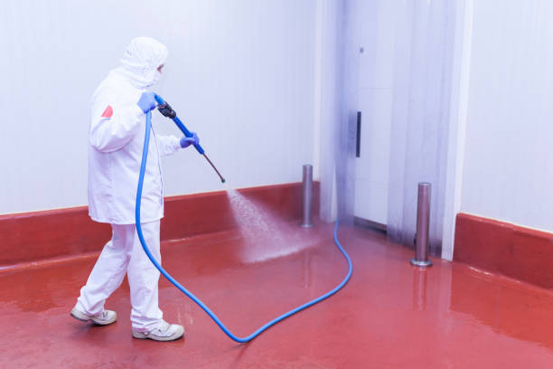Best Building Exterior Washing  in Safety Harbor, FL