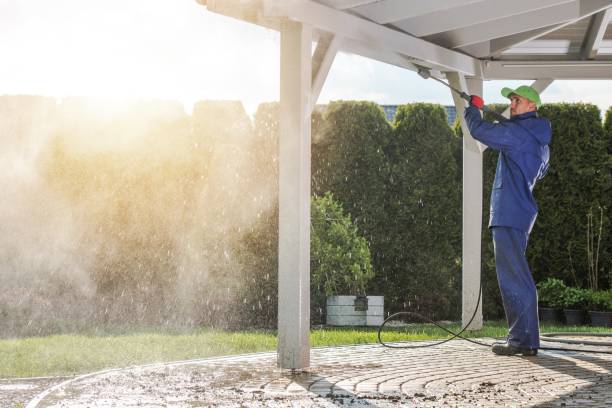 Best Graffiti Removal  in Safety Harbor, FL